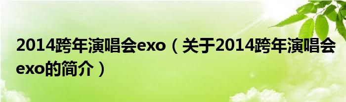 2014跨年演唱會(huì)exo（關(guān)于2014跨年演唱會(huì)exo的簡(jiǎn)介）