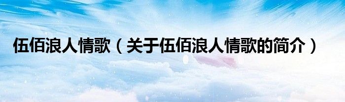 伍佰浪人情歌（關(guān)于伍佰浪人情歌的簡(jiǎn)介）