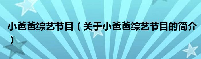 小爸爸綜藝節(jié)目（關(guān)于小爸爸綜藝節(jié)目的簡(jiǎn)介）