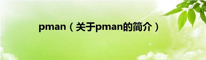 pman（關于pman的簡介）