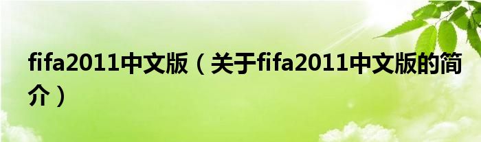 fifa2011中文版（關(guān)于fifa2011中文版的簡(jiǎn)介）