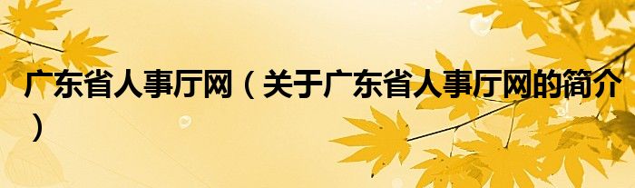 廣東省人事廳網(wǎng)（關(guān)于廣東省人事廳網(wǎng)的簡介）