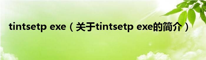 tintsetp exe（關(guān)于tintsetp exe的簡(jiǎn)介）