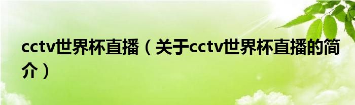 cctv世界杯直播（關(guān)于cctv世界杯直播的簡(jiǎn)介）