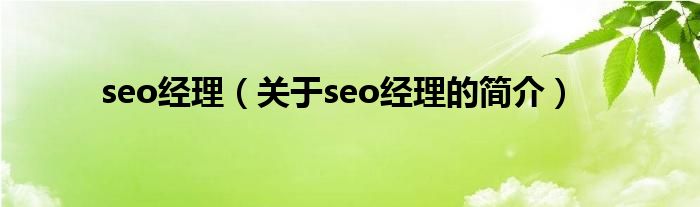 seo經理（關于seo經理的簡介）