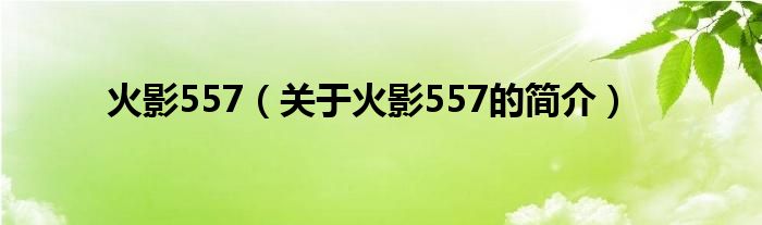 火影557（關(guān)于火影557的簡(jiǎn)介）