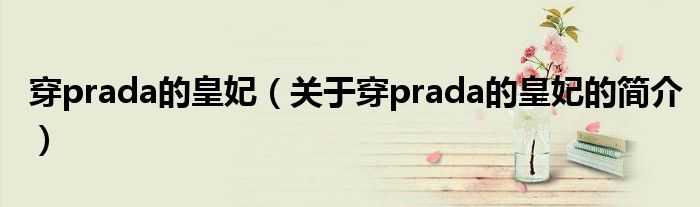 穿prada的皇妃（關于穿prada的皇妃的簡介）