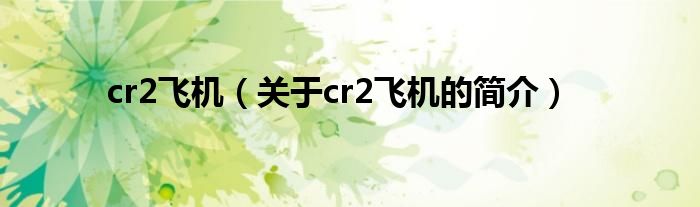 cr2飛機（關(guān)于cr2飛機的簡介）