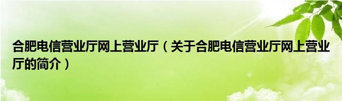 合肥電信營業(yè)廳網上營業(yè)廳（關于合肥電信營業(yè)廳網上營業(yè)廳的簡介）