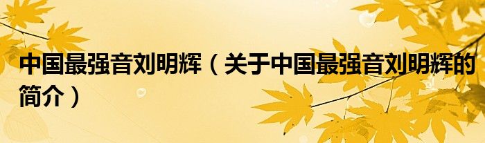 中國最強音劉明輝（關(guān)于中國最強音劉明輝的簡介）