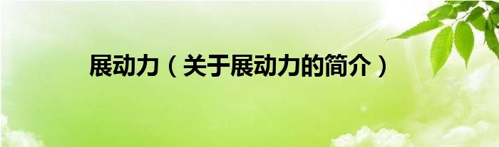 展動力（關于展動力的簡介）