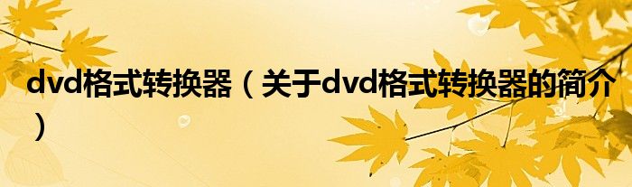 dvd格式轉(zhuǎn)換器（關(guān)于dvd格式轉(zhuǎn)換器的簡(jiǎn)介）