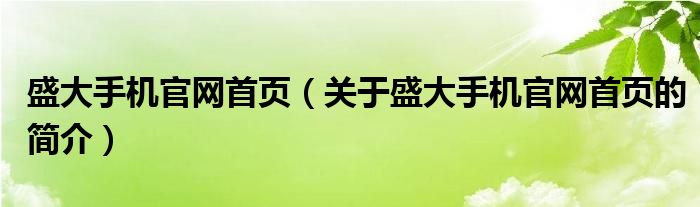 盛大手機官網(wǎng)首頁（關于盛大手機官網(wǎng)首頁的簡介）