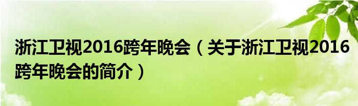 浙江衛(wèi)視2016跨年晚會(huì)（關(guān)于浙江衛(wèi)視2016跨年晚會(huì)的簡介）