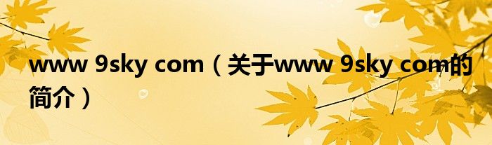 www 9sky com（關(guān)于www 9sky com的簡(jiǎn)介）