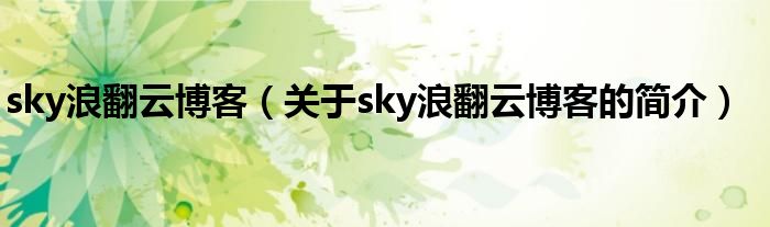 sky浪翻云博客（關(guān)于sky浪翻云博客的簡(jiǎn)介）