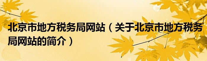 北京市地方稅務(wù)局網(wǎng)站（關(guān)于北京市地方稅務(wù)局網(wǎng)站的簡介）