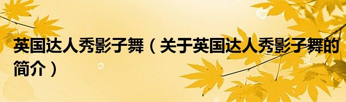 英國(guó)達(dá)人秀影子舞（關(guān)于英國(guó)達(dá)人秀影子舞的簡(jiǎn)介）