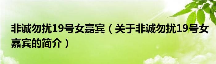 非誠(chéng)勿擾19號(hào)女嘉賓（關(guān)于非誠(chéng)勿擾19號(hào)女嘉賓的簡(jiǎn)介）