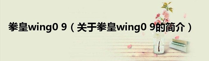 拳皇wing0 9（關于拳皇wing0 9的簡介）