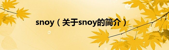 snoy（關(guān)于snoy的簡(jiǎn)介）