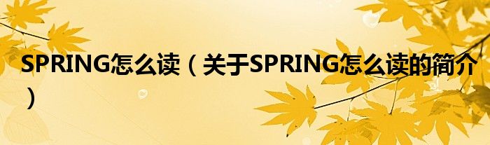 SPRING怎么讀（關(guān)于SPRING怎么讀的簡介）