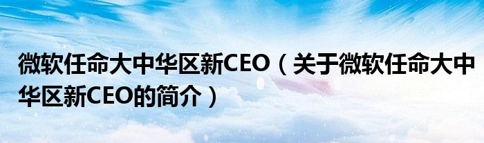 微軟任命大中華區(qū)新CEO（關(guān)于微軟任命大中華區(qū)新CEO的簡介）