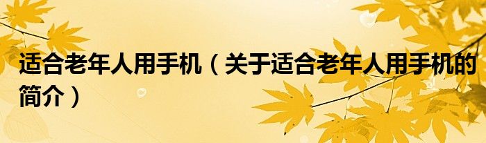 適合老年人用手機（關(guān)于適合老年人用手機的簡介）