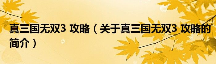 真三國(guó)無(wú)雙3 攻略（關(guān)于真三國(guó)無(wú)雙3 攻略的簡(jiǎn)介）