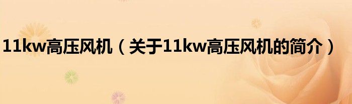 11kw高壓風(fēng)機（關(guān)于11kw高壓風(fēng)機的簡介）