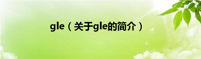 gle（關(guān)于gle的簡(jiǎn)介）