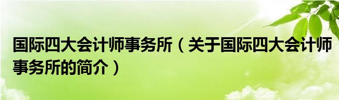 國際四大會計師事務(wù)所（關(guān)于國際四大會計師事務(wù)所的簡介）