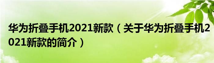 華為折疊手機(jī)2021新款（關(guān)于華為折疊手機(jī)2021新款的簡介）