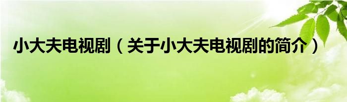 小大夫電視?。P(guān)于小大夫電視劇的簡(jiǎn)介）