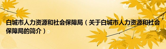 白城市人力資源和社會保障局（關(guān)于白城市人力資源和社會保障局的簡介）