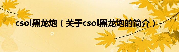 csol黑龍炮（關于csol黑龍炮的簡介）