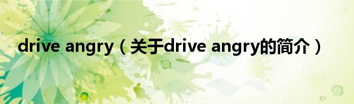 drive angry（關(guān)于drive angry的簡(jiǎn)介）