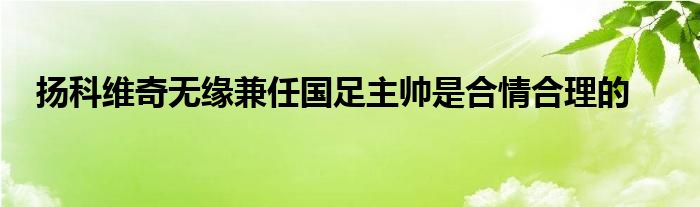 揚(yáng)科維奇無緣兼任國足主帥是合情合理的