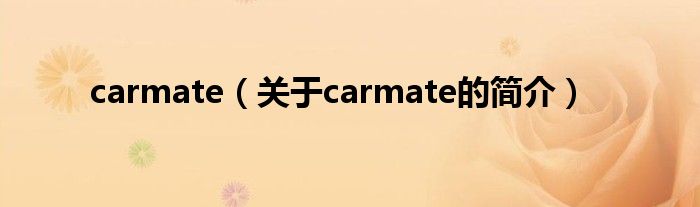 carmate（關于carmate的簡介）