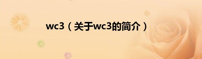 wc3（關于wc3的簡介）