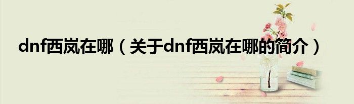 dnf西嵐在哪（關(guān)于dnf西嵐在哪的簡(jiǎn)介）