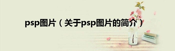 psp圖片（關于psp圖片的簡介）