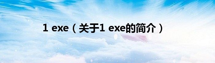 1 exe（關(guān)于1 exe的簡(jiǎn)介）