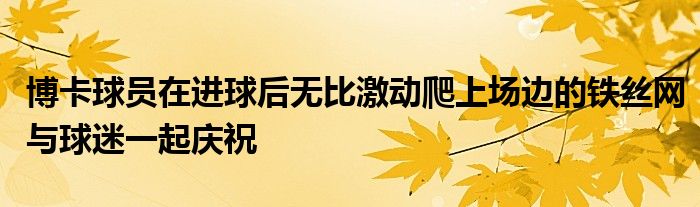 博卡球員在進(jìn)球后無比激動(dòng)爬上場邊的鐵絲網(wǎng)與球迷一起慶祝