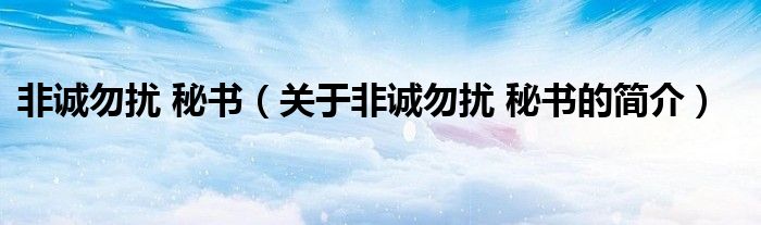 非誠勿擾 秘書（關(guān)于非誠勿擾 秘書的簡介）