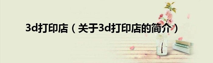 3d打印店（關(guān)于3d打印店的簡(jiǎn)介）