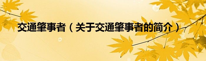 交通肇事者（關(guān)于交通肇事者的簡(jiǎn)介）