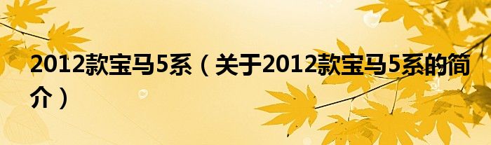 2012款寶馬5系（關(guān)于2012款寶馬5系的簡介）