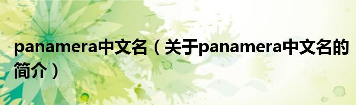 panamera中文名（關(guān)于panamera中文名的簡介）