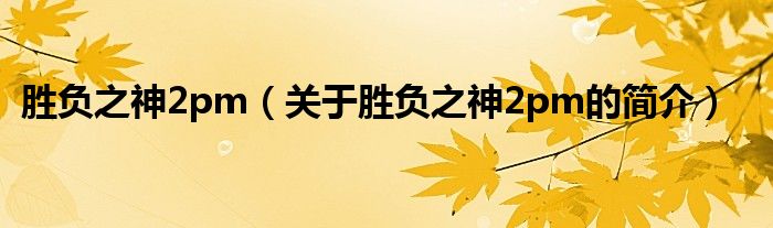 勝負(fù)之神2pm（關(guān)于勝負(fù)之神2pm的簡介）